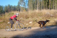/album/kickbike-fotos/steppen-met-hond-jpeg1/